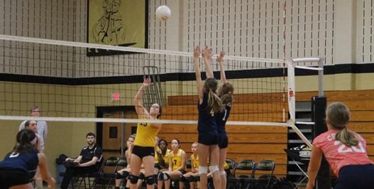 10-9 Freshmen Volleyball Vs. Howell Central [Photo Gallery]