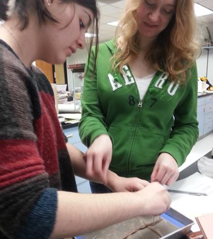 Biology II Classes Dissect Earthworms