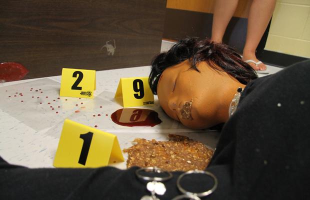 Anna Garcia, the dummy, lays dead on the ground in the crime scene investigation for the new Principles of Biomedical Sciences class. (photo by ariel kirkpatrick) 