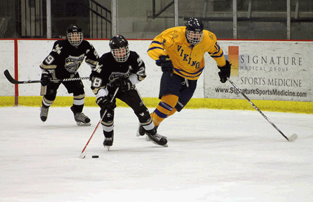 1-12 Hockey Vs. Howell [photo gallery]