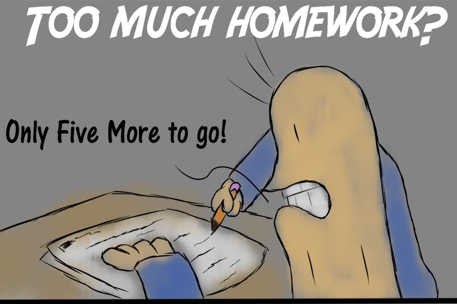 Too Much Homework