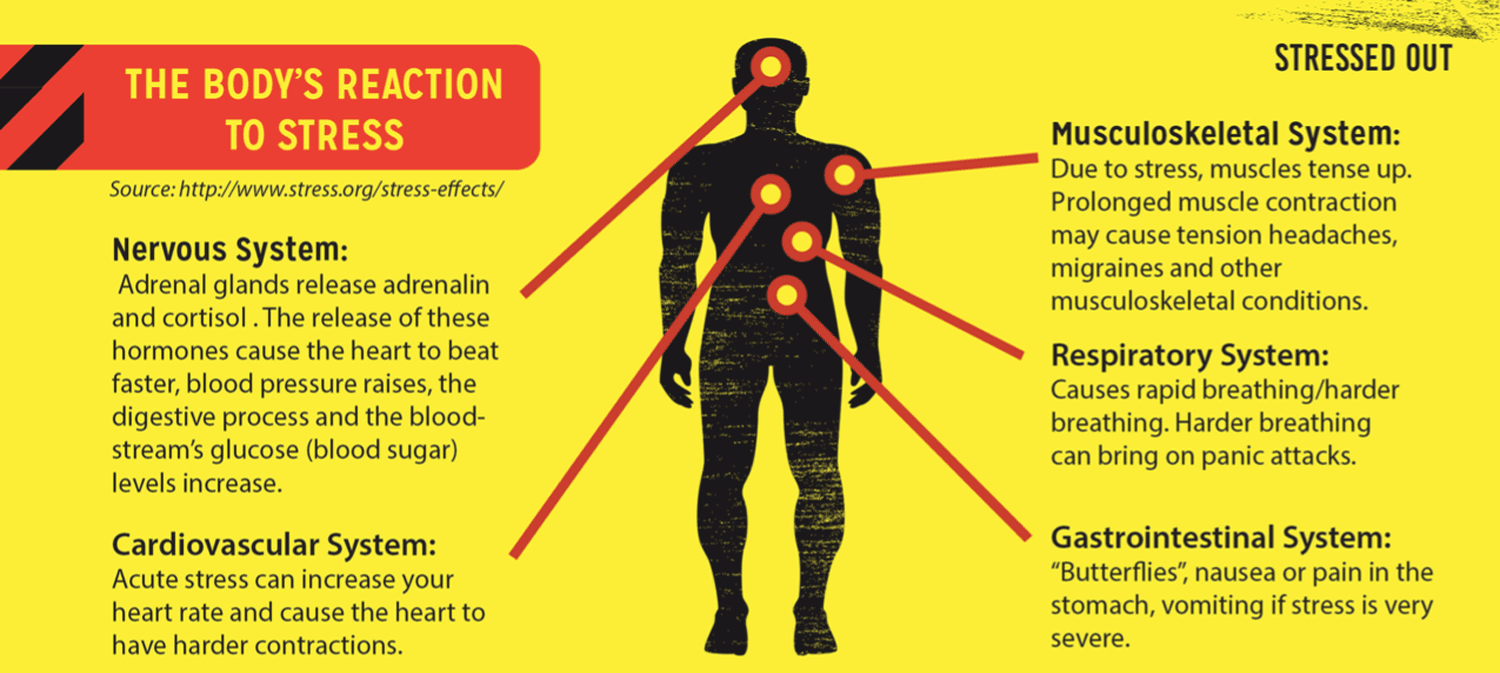 Effects on the Body