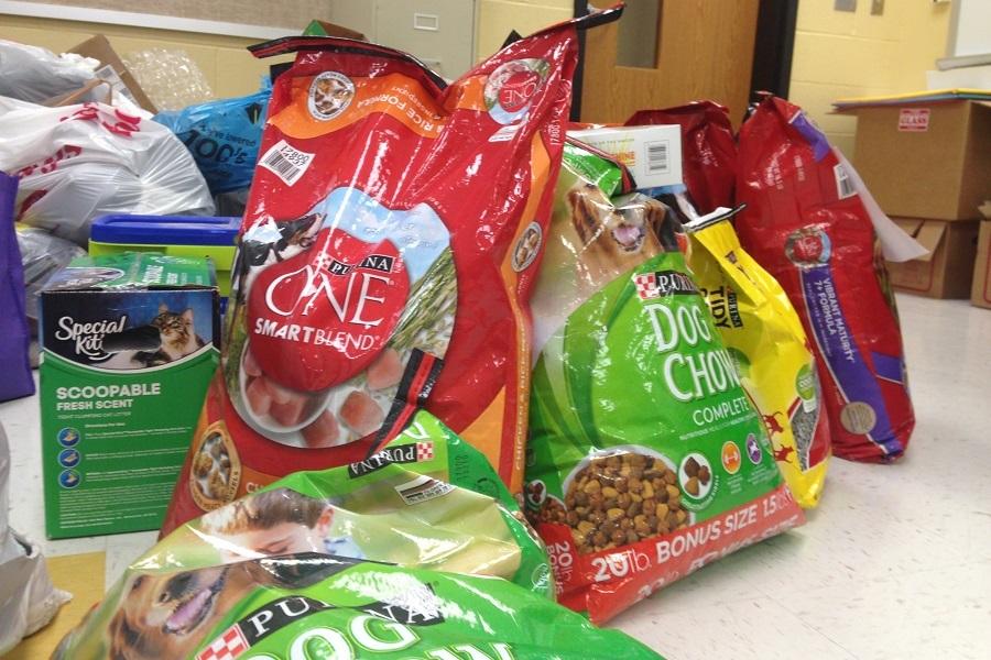 NHS Donating Items to Five Acres Animal Shelter