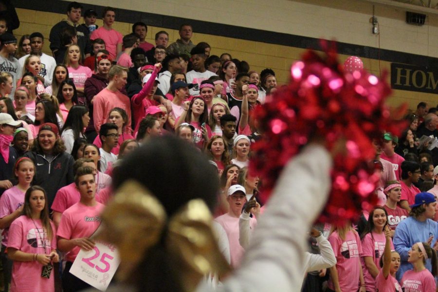 Katherine Brooks cheers during Pink Ribbon  game against Howell on February 9