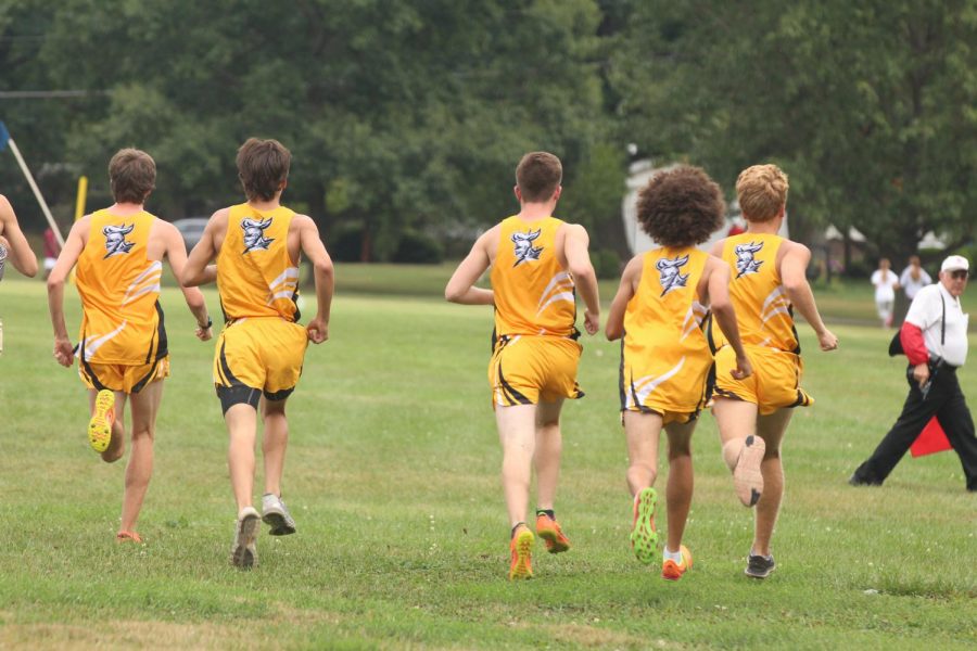 The boys cross country team sprints out of the box to start the race.