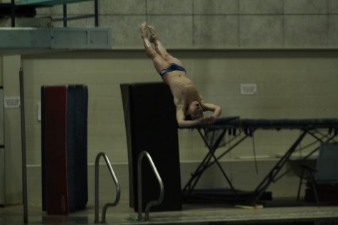 Freshman Logan Schelfaut performs a back dive off the three meter board. Schelfaut has been diving on a club team with dive coach, Greg Triefenbach, for six years. Now in high school with a new diving coach, Chris Pape, he was able to qualify for State at the beginning of the season.