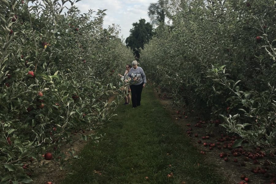 Beth and Chelsea Abanathie pick apples at Eckerts on a family outing.