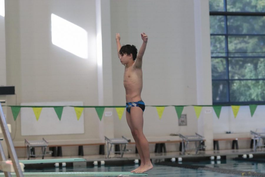Freshman Logan Schelfaut stands on the diving board as he prepares to dive into the water.