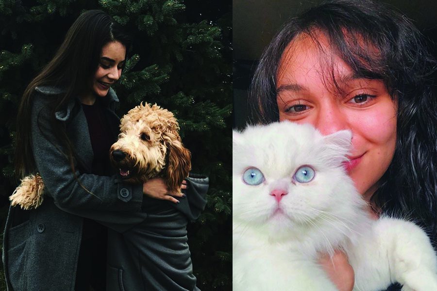 FHN Students Make Instagrams For Their Pets