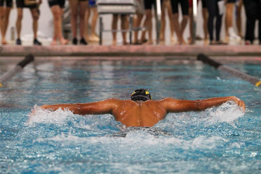 Varsity Boys Swim Beats Lutheran High [Photo Gallery]