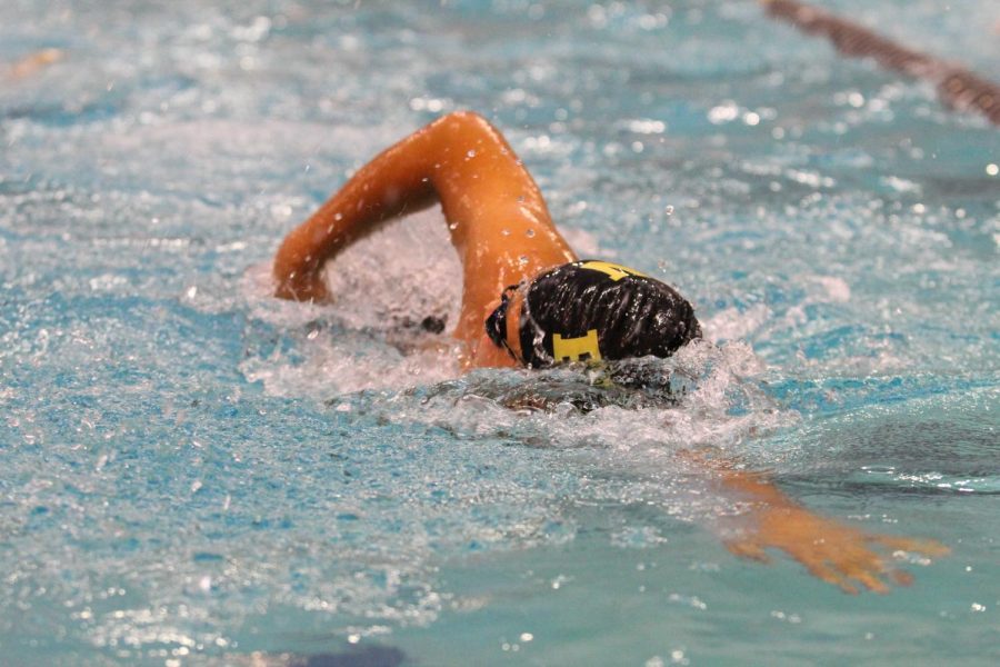 Freshman Edward Lee Succeeds in His First Year on the Swim Team