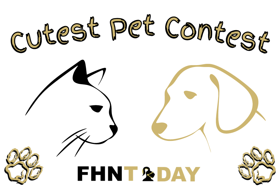 The Cutest Pet Contests Top 5 Winners