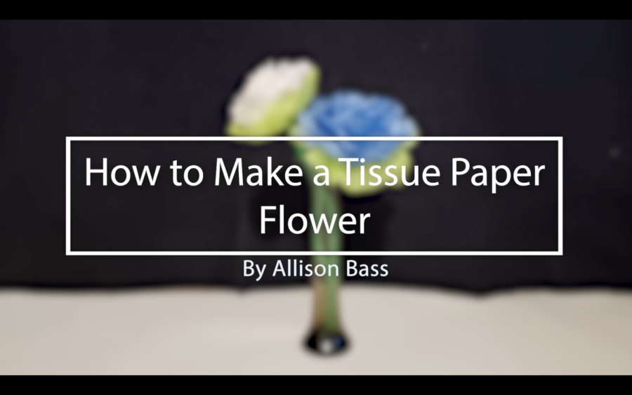 How+to+Make+a+Tissue+Paper+Flower