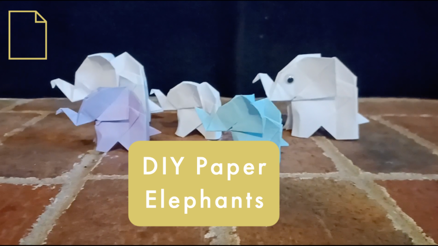 How to Make a Paper Elephant | DIY Video