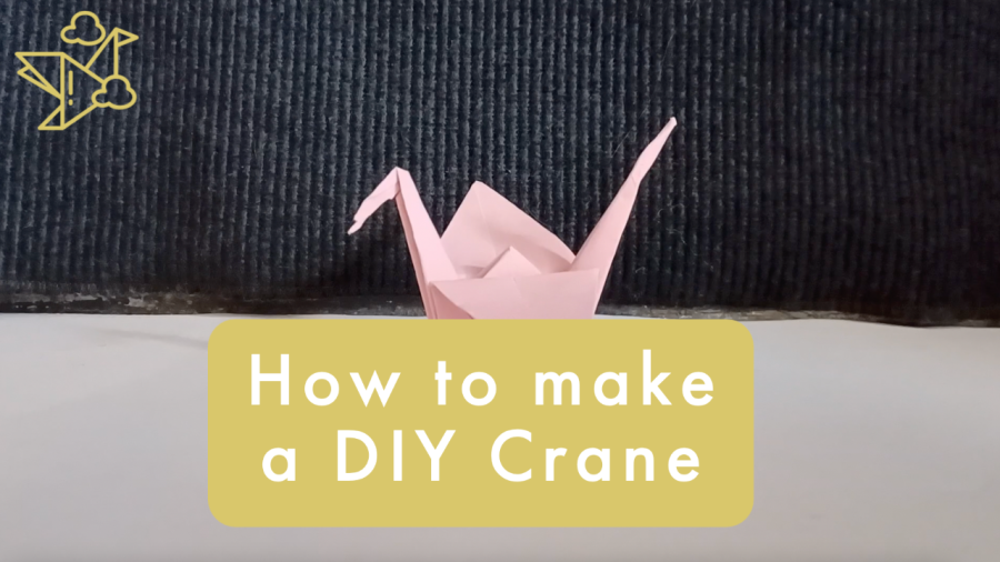 How to Make a Paper Crane | DIY Video