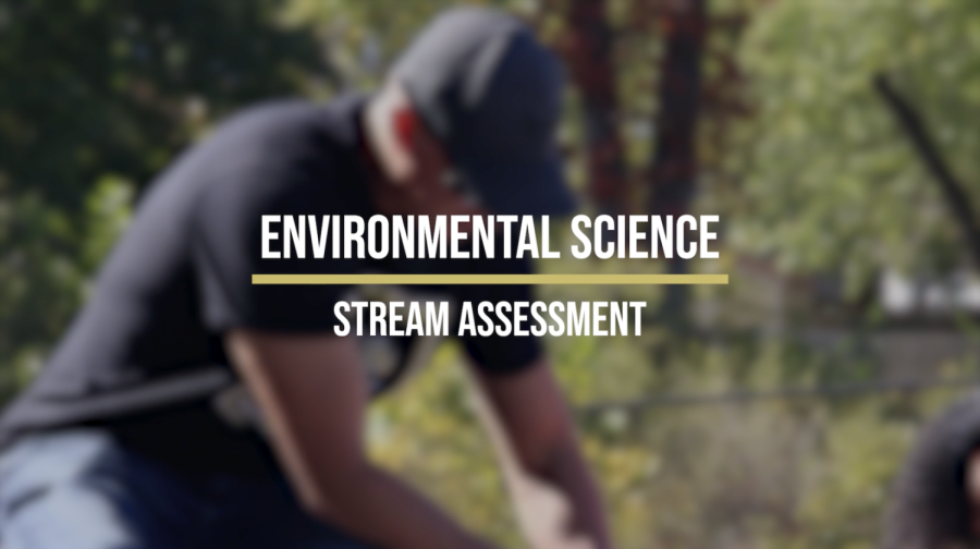 Environmental Science Stream Assessment