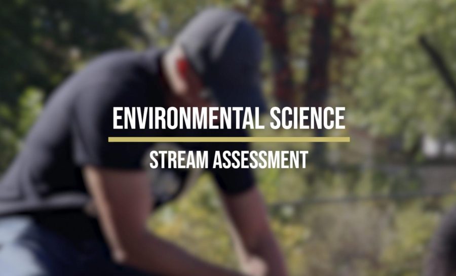 Environmental Sciences Annual Stream Assessment