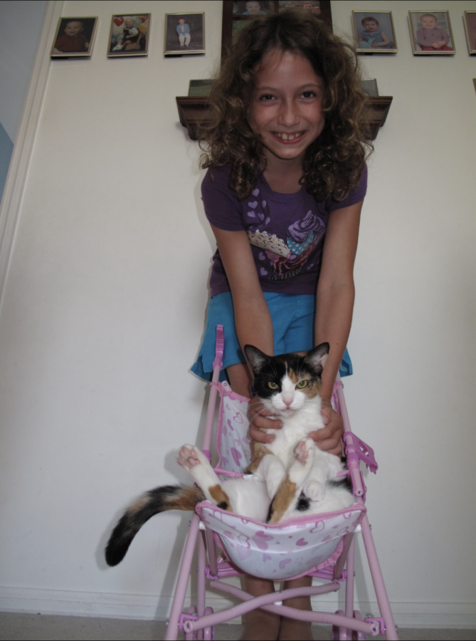 Senior Stephanie Lichtenegger smiles with her cat in a stroller when she was younger. 