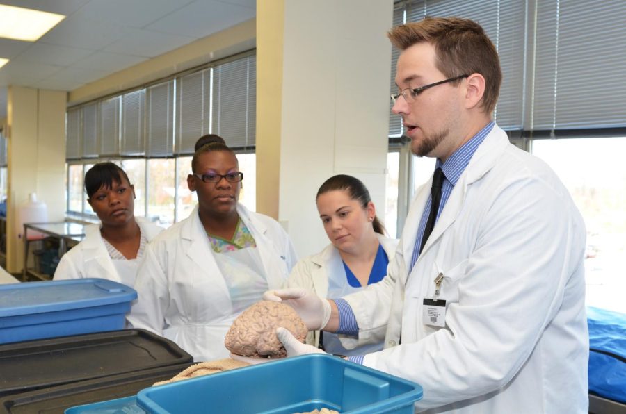 A doctor leading one of the Tours of the Body shows off a model brain to a group of enthralled listeners. 