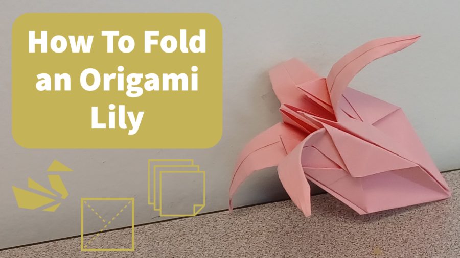 How to Make an Origami Lily | DIY Video