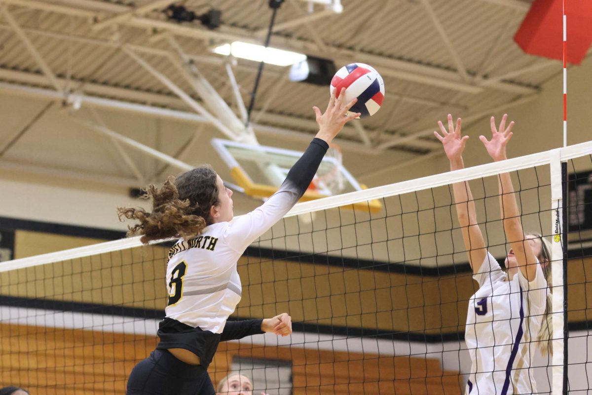 A FHN volleyball player spikes a ball over the net. 