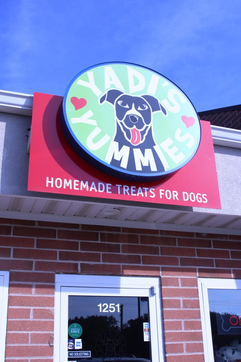 Yadi’s Yummies is a pet store in St. Peters, but they also offer many more products for cats and dogs. They have many different and unique items they offer. They make customized birthday cakes, and their treats are custom made by the employees.