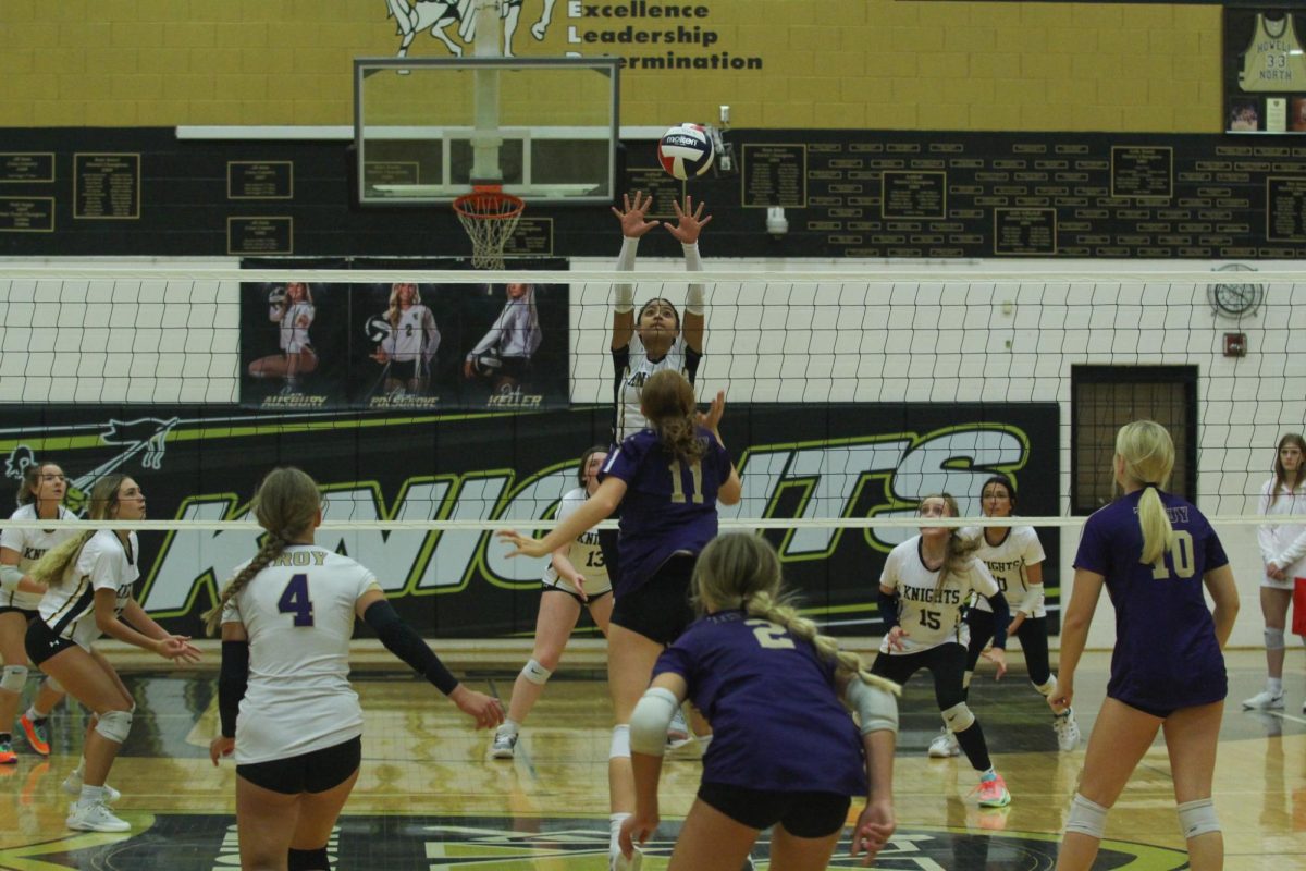 JV Volleyball Defeats Troy in a Home Game [Photo Gallery]