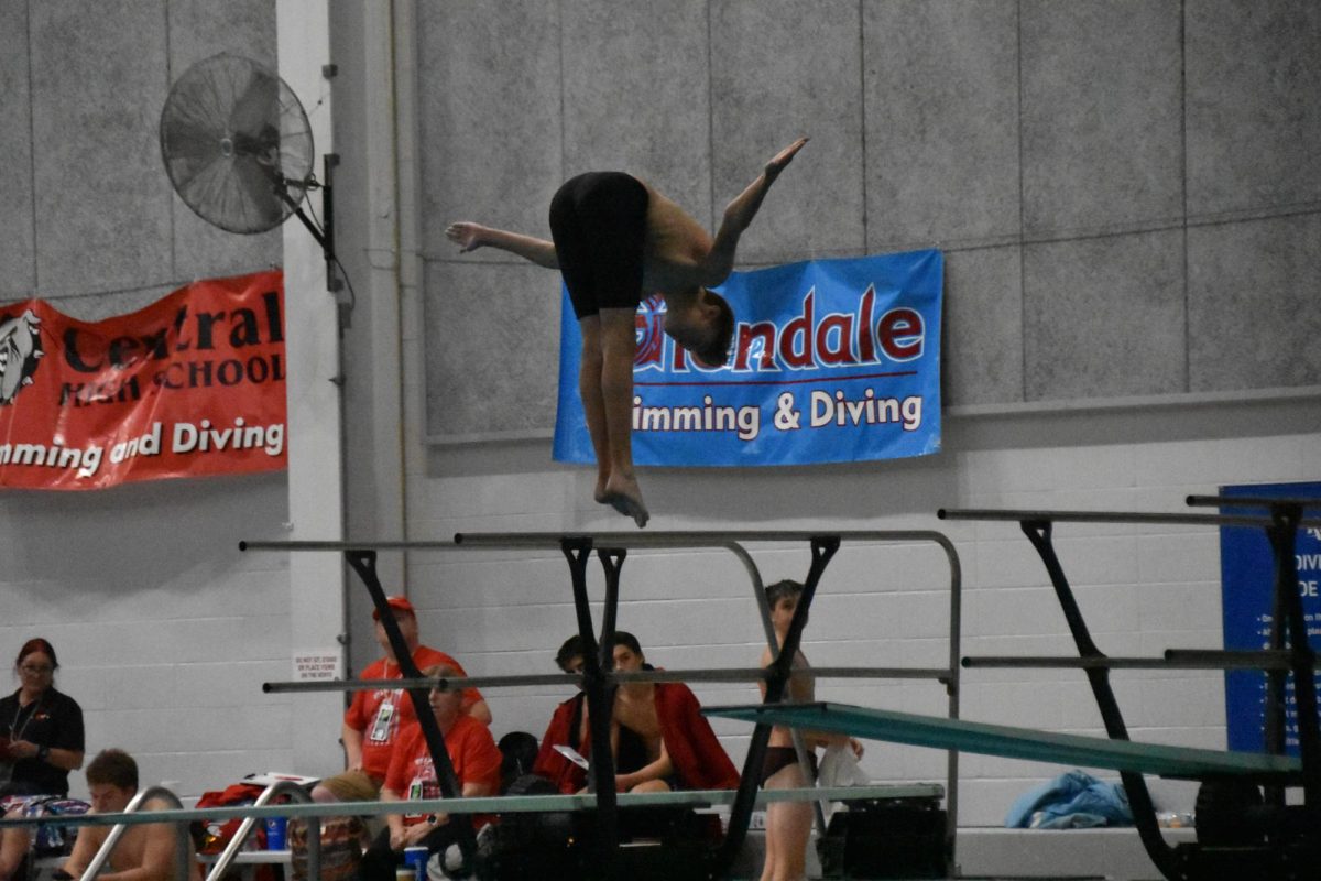Junior Logan Scott dives at the State competition on Nov. 10th