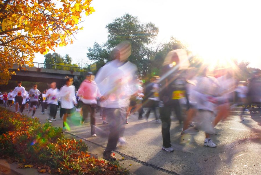 Runners participate in a marathon. The Turkey Trot is a local marathon themed around Thanksgiving. 