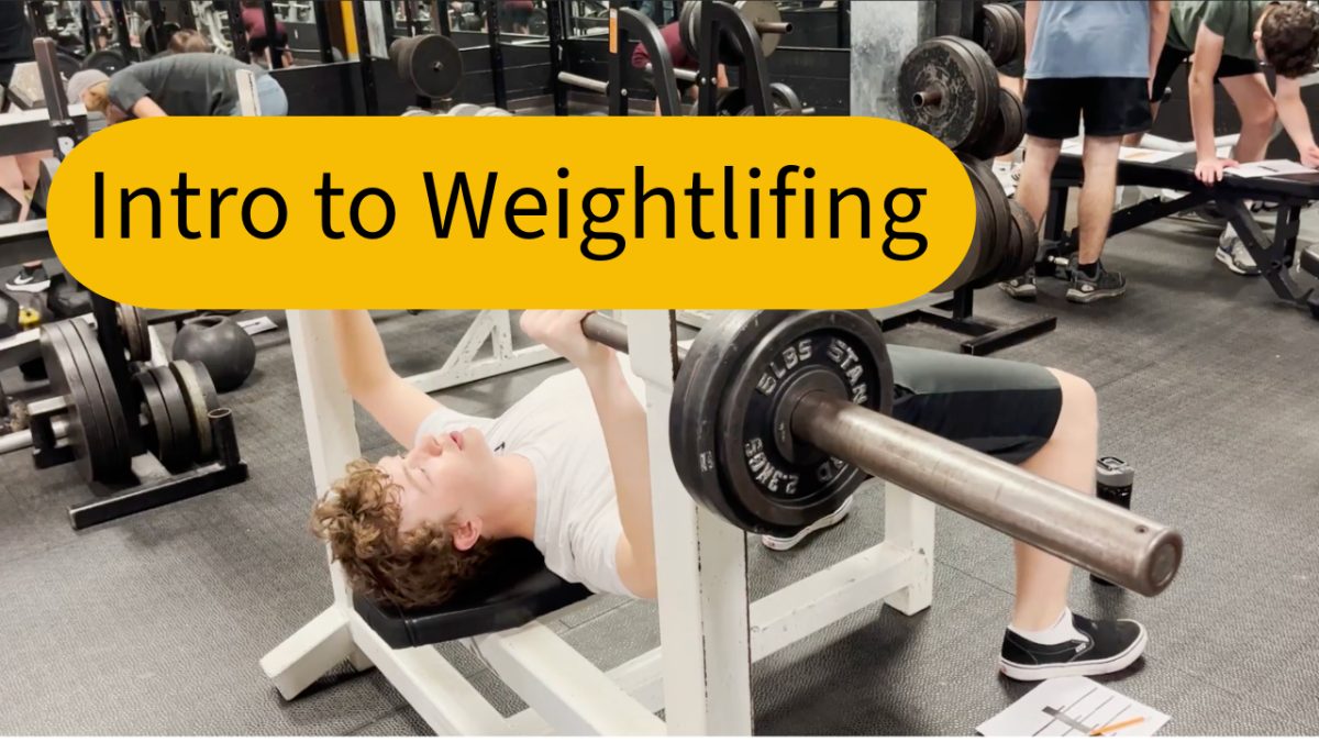 A Look Into Intro to Weightlifting