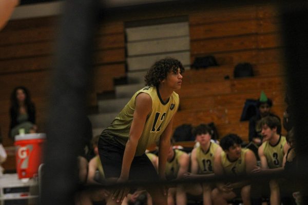 Varsity Boys Volleyball Sweep Timberland Wolves [Photo Gallery]