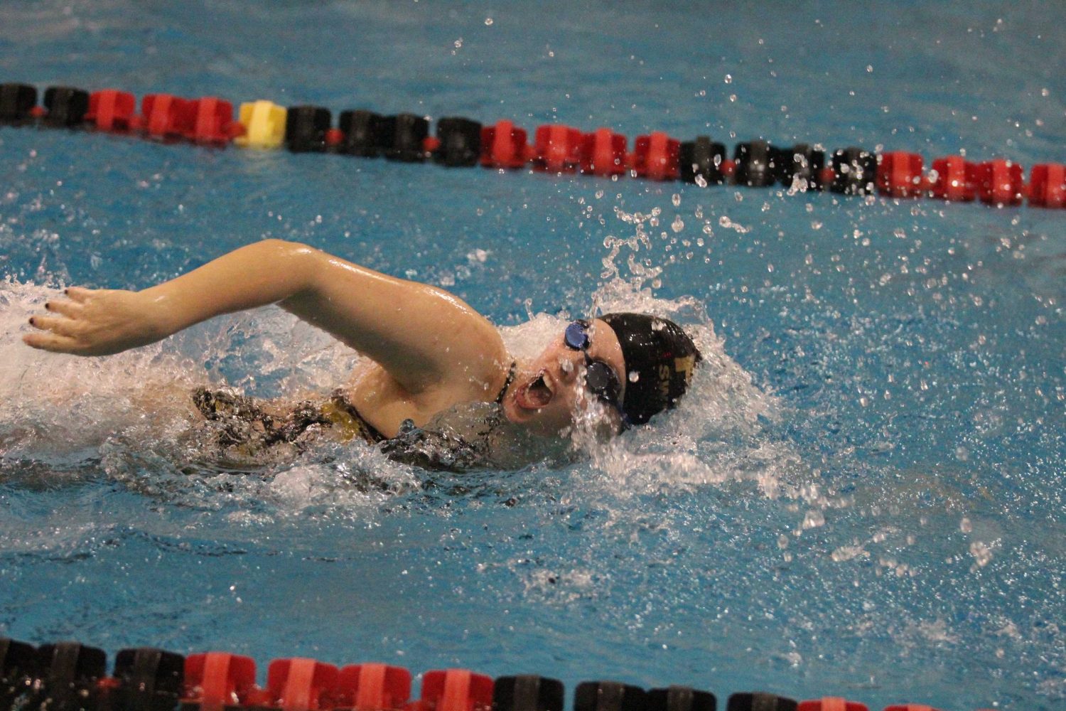 12-16 Girls Swimming Vs. FZW [Photo Gallery]