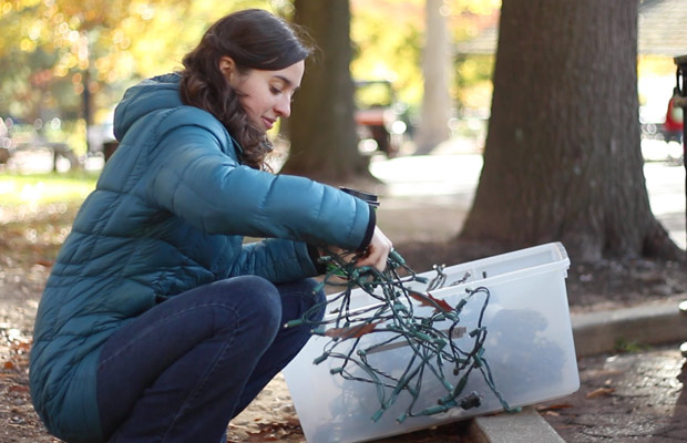 Smithsonian National Zoo Prepares for ZooLights