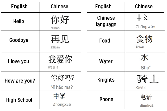 More Options, Diverse Cultures