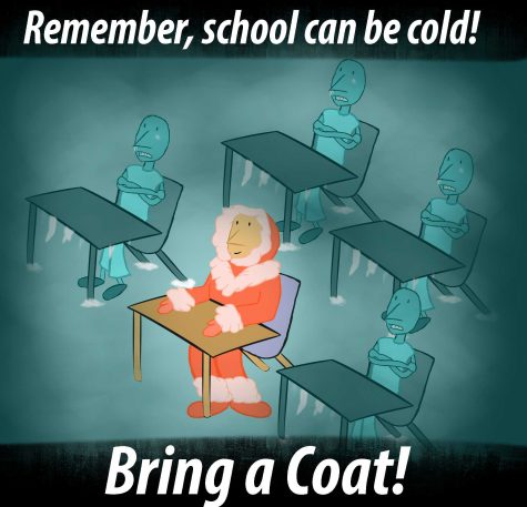 Cold-School