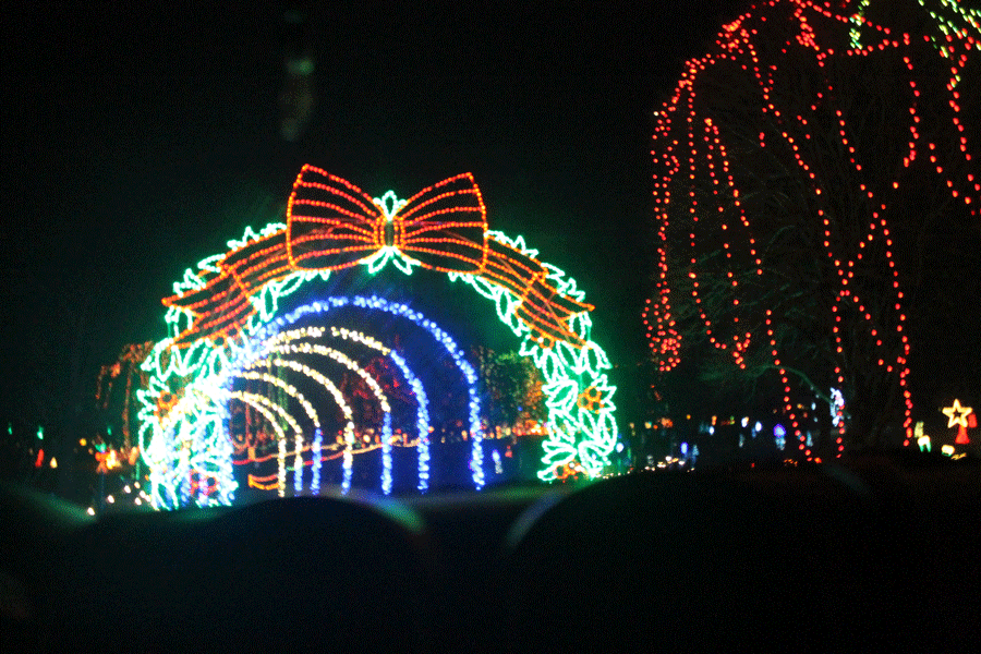 A Winter Wonderland of Lights