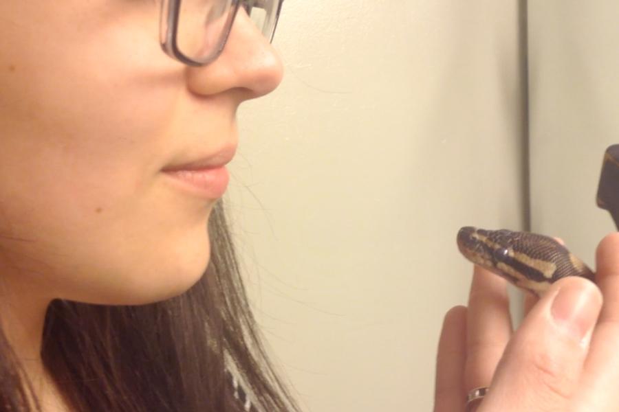 Madi Bowen and Her Snakes