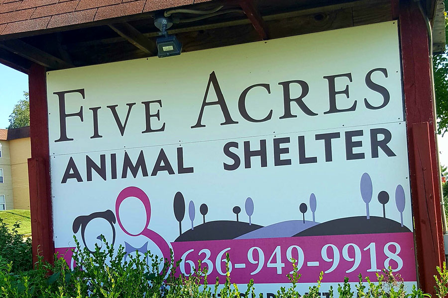 Five Acres Offers A Safe Place For Animals