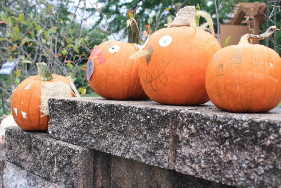 Children decorated pumpkins at a stand in the Kids' Corner.