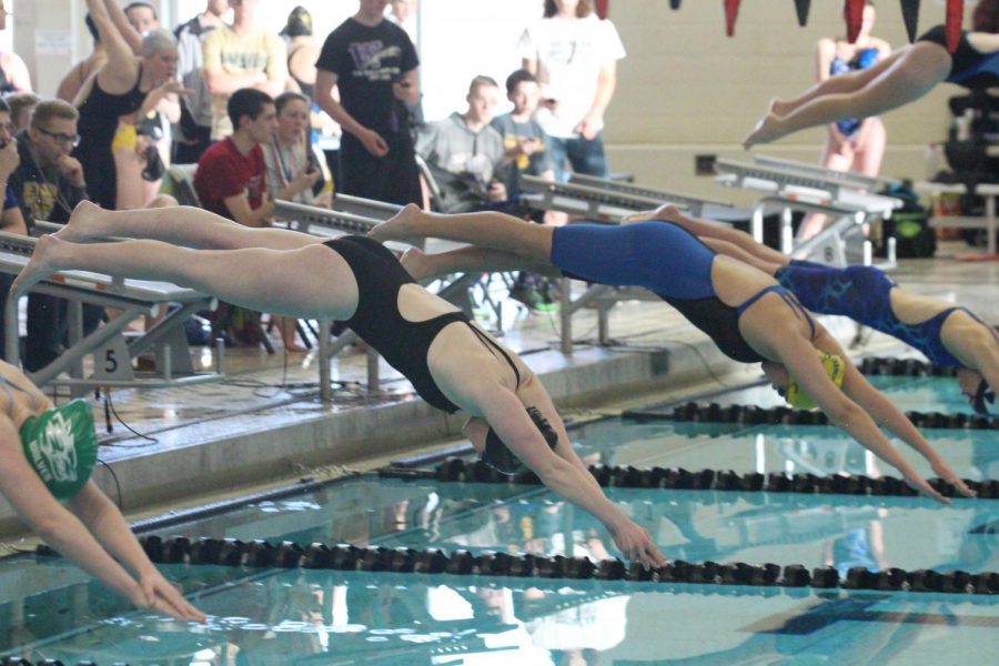 The Knights' girls varsity swim and dive team dive into the pool for their meet on 2/9. 