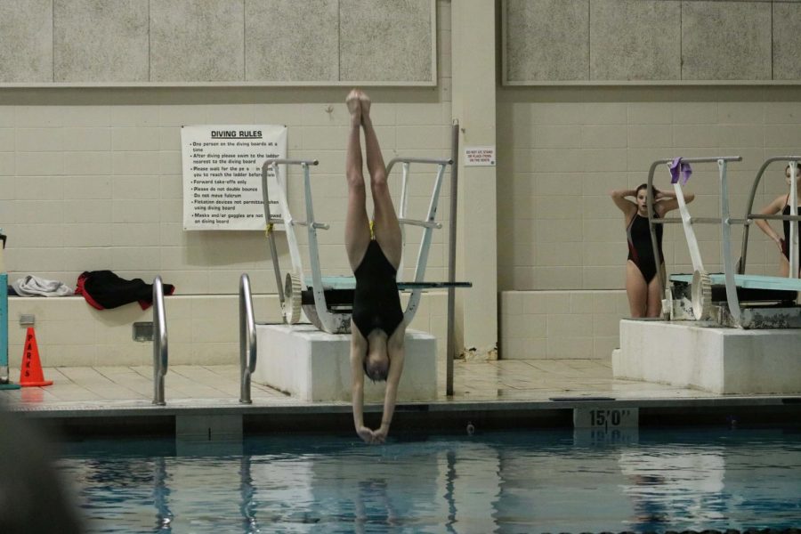 Junior Kamryn Bell dives into the water at a meet against FZS on Jan. 29. The meet was at 9 p.m. at the Rec-Plex. The final score at the end of the meet was 87-96. 