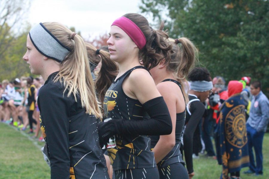 The Knights line up at the line before the Sectionals Cross Country meet