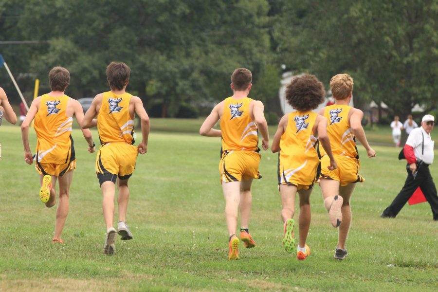 The boy's cross country team sprints out of the box to start the race.