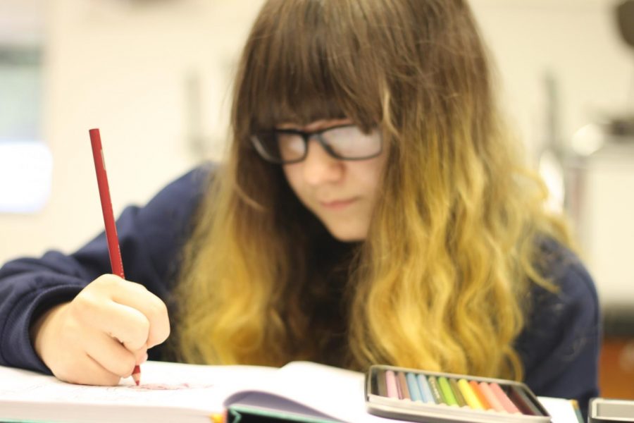 Freshman Natalie Legg works on a piece of art, with a red colored pencil, in Intro to Art. Legg started her love of art with doodles and has now moved on to everyday objects.