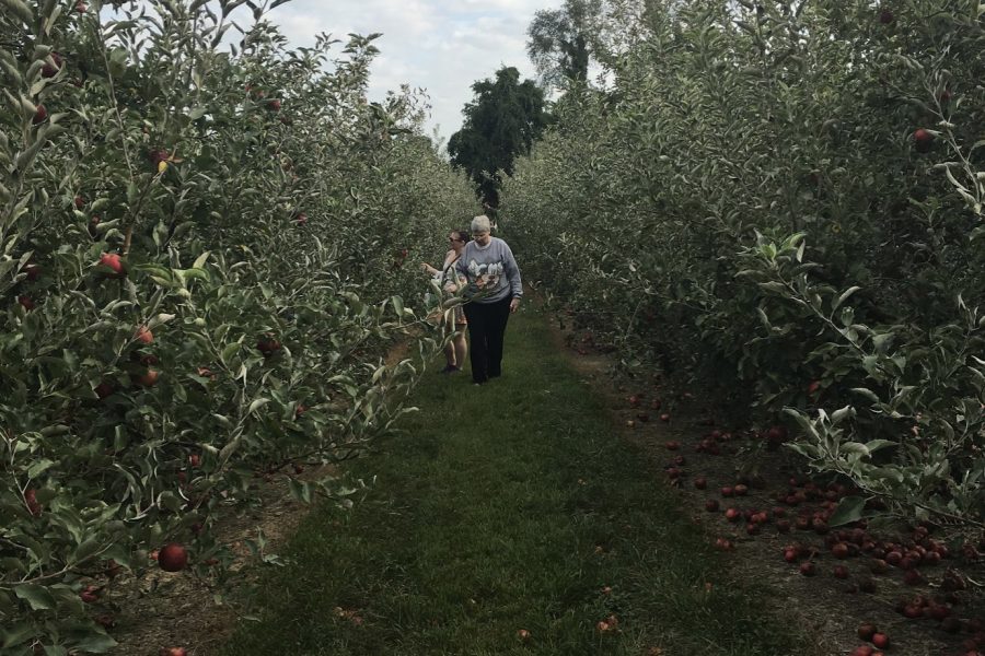 Beth and Chelsea Abanathie pick apples at Eckert's on a family outing.