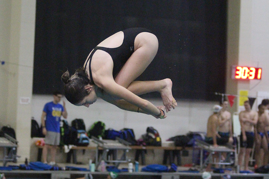 Senior Kamryn Bell dives into the pool at the St. Peters Rec-Plex