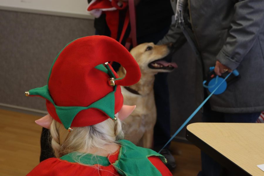 Families walk into Elm Point Hospital on Dec. 2 awaiting to get their picture with Santa Claus. This was the first time the animal hospital hosted this event to bring together the spirit of the holiday with their clients and families. 