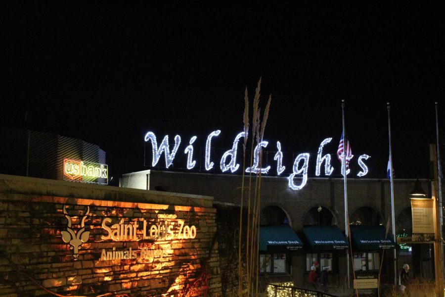 Wild Lights at the Saint Louis Zoo [Photo Story]