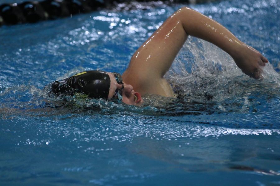 2-5 JV Girls Swim GAC [Photo Gallery}