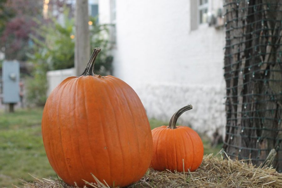 Saturday, Oct. 26: National Pumpkin Day.

This holiday was made to celebrate the squash that is such a big part of Halloween. Fun Fact: Pumpkins are actually fruits.